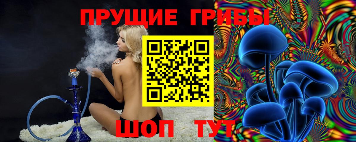 Новоалександровск  Галлюциногенные грибы Psilocybine cubensis  Вход с VPN  Галлюциногенные грибы мухоморы 
