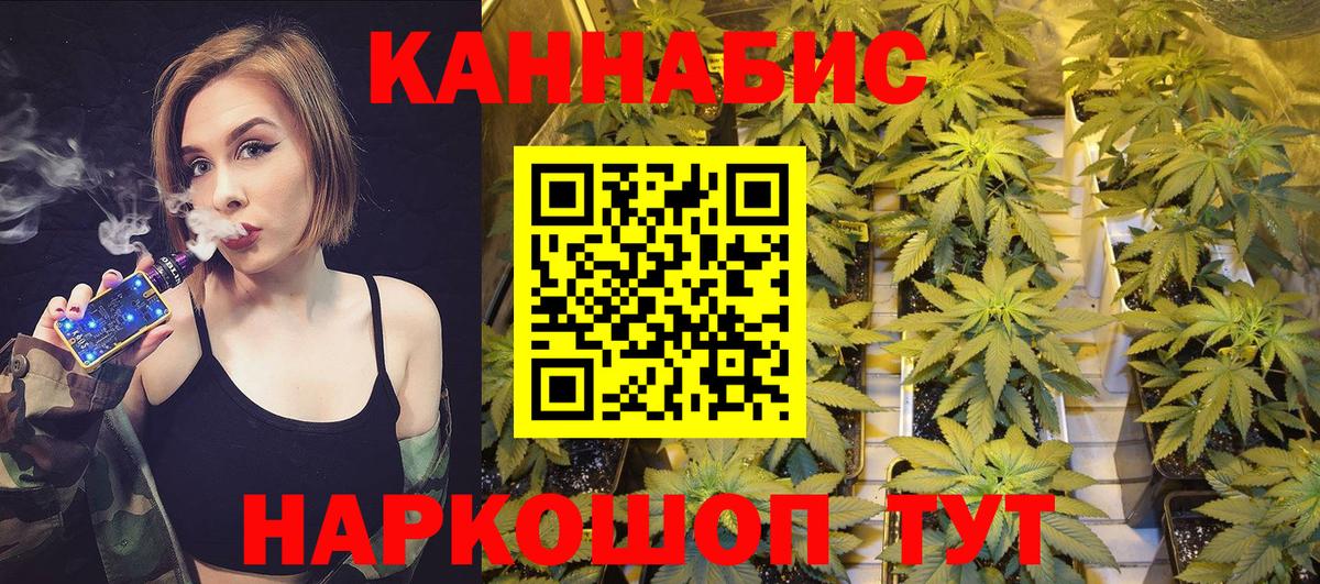 Бошки марихуана AK-47  Вход с VPN  Новоалександровск  Каннабис планчик  МАРИХУАНА AK-47 